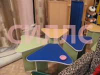 ���� �������